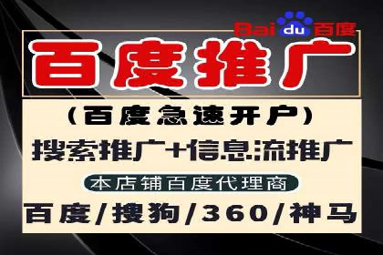 百度推广代运营案例：案例分享：打造行业领军品牌